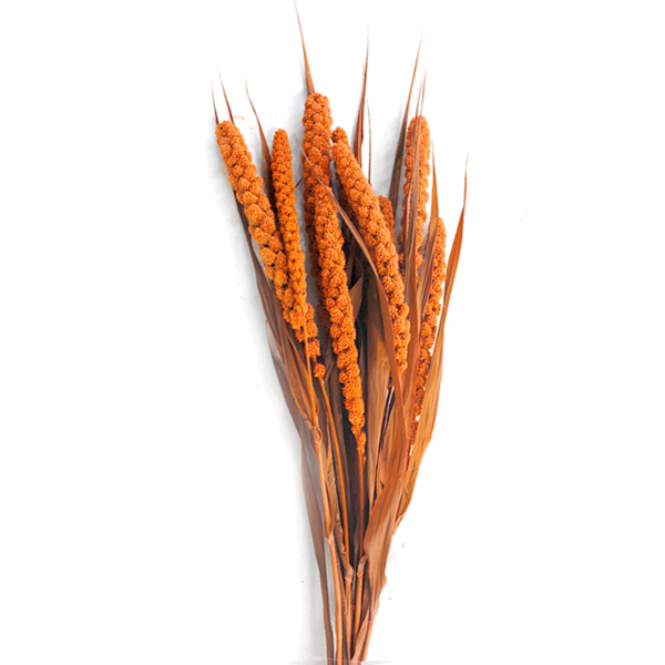 Millet Flower (10 bundles pack) - Image 2