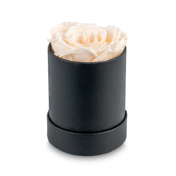Round Rose Box-1 rose (120 boxes pack) - Image 3