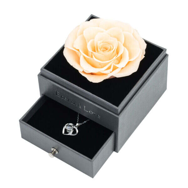 Preserved Rose Arcylic Box (75 boxes pack) - Image 6