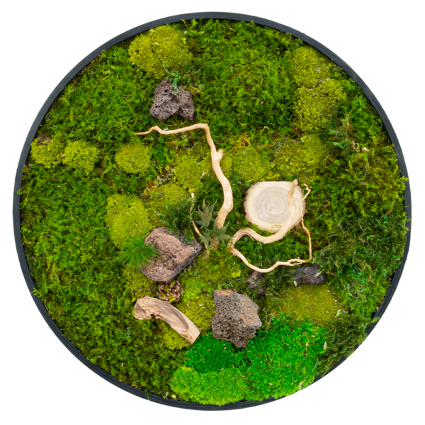 Moss Frame (3 pcs pack)