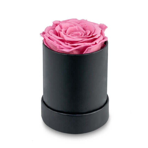 Round Rose Box-1 rose (120 boxes pack)