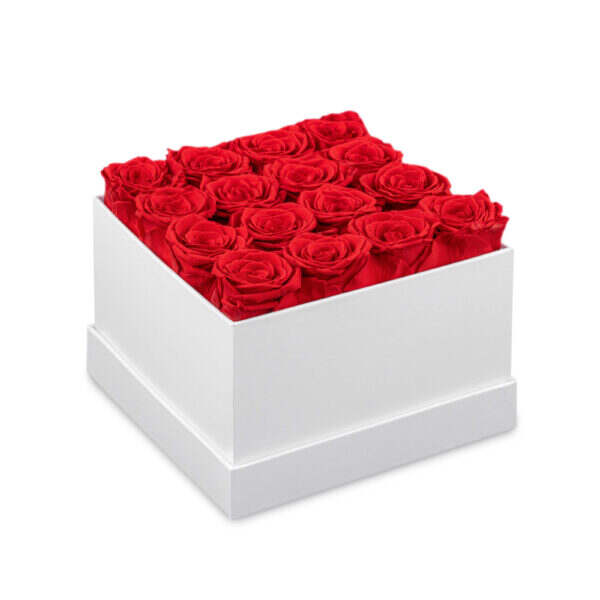 Square Rose Box-16 roses (18 boxes pack)