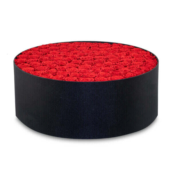 Round Rose Box-99 roses (2 boxes pack)