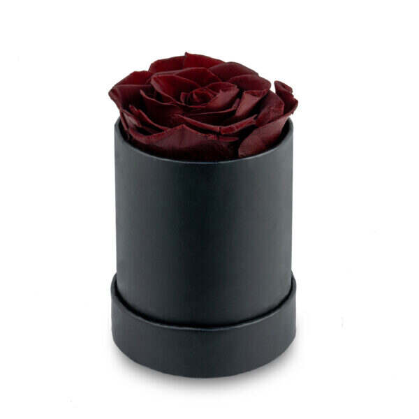 Round Rose Box-1 rose (120 boxes pack) - Image 4
