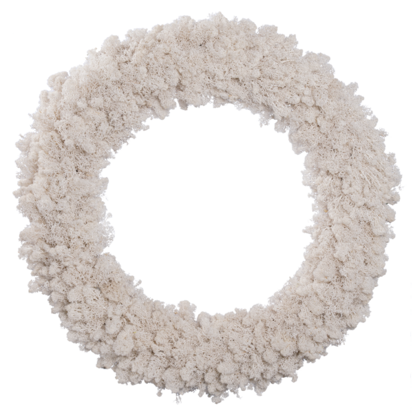 Reindeer Moss Wreath (4 pcs pack/2 pcs pack)