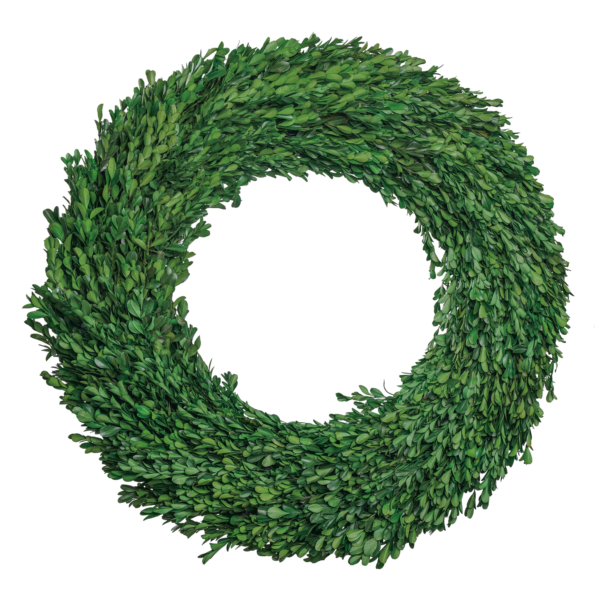 Small Leaved Boxwood Wreath (4 pcs pack/2 pcs pack)