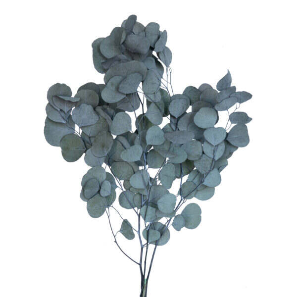 Apple leaves (10 bundles pack) - Image 3