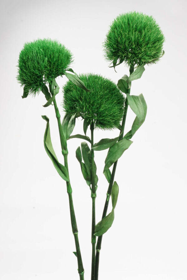 Green Ball (10 bundles pack)
