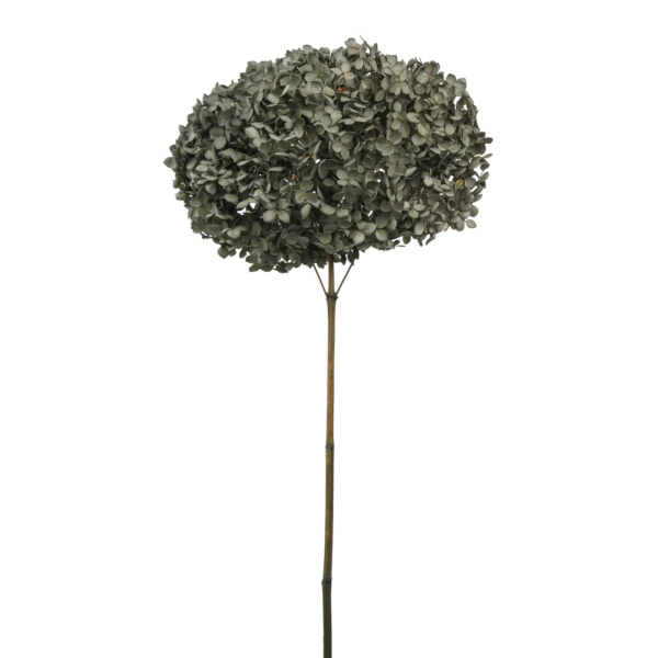 Anna Hydrangea (10 pcs pack) - Image 7