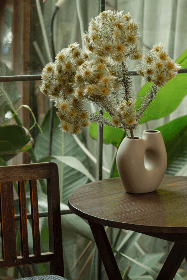 Featherhead (10 bundles pack) - Image 5