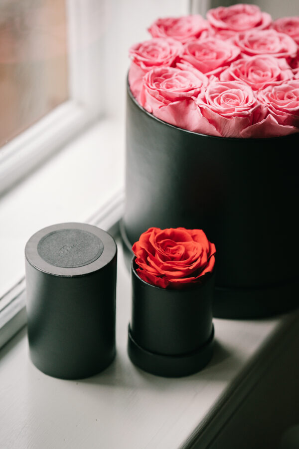 Round Rose Box-1 rose (120 boxes pack) - Image 5