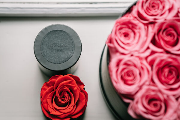 Round Rose Box-1 rose (120 boxes pack) - Image 7