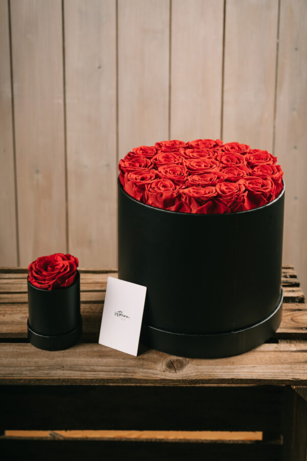 Round Rose Box - 19 roses (8 boxes pack) - Image 4
