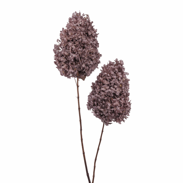 Wood Hydrangea (10 pcs pack) - Image 12