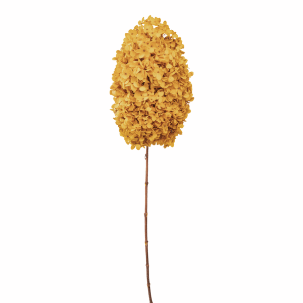 Wood Hydrangea (10 pcs pack) - Image 5