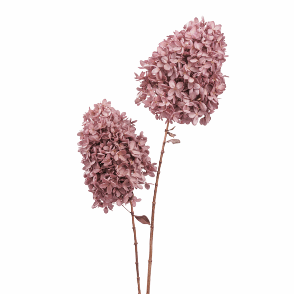 Wood Hydrangea (10 pcs pack) - Image 4