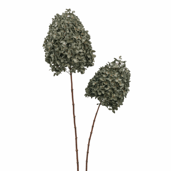 Wood Hydrangea (10 pcs pack) - Image 11