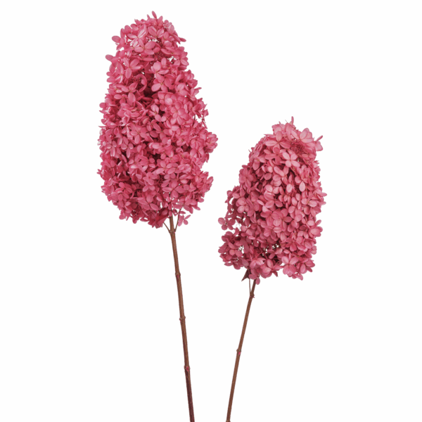 Wood Hydrangea (10 pcs pack) - Image 10
