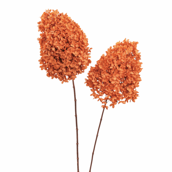 Wood Hydrangea (10 pcs pack) - Image 9
