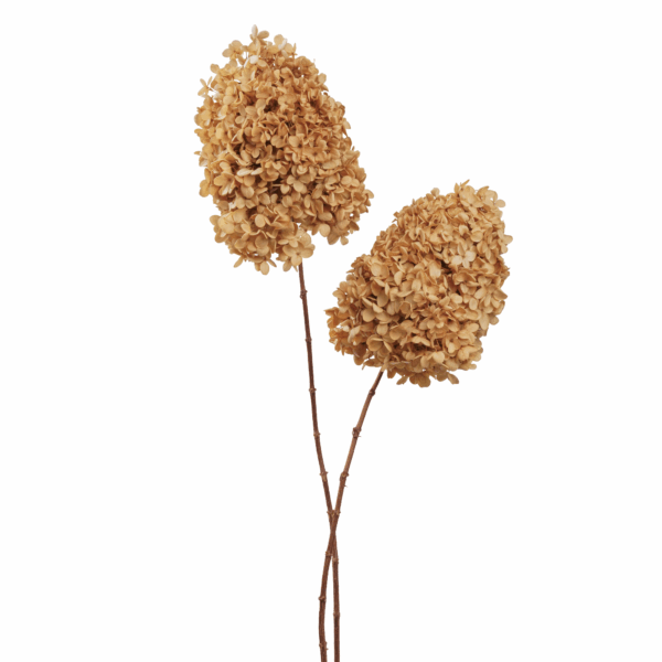 Wood Hydrangea (10 pcs pack) - Image 8