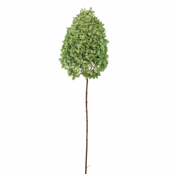 Wood Hydrangea (10 pcs pack) - Image 3