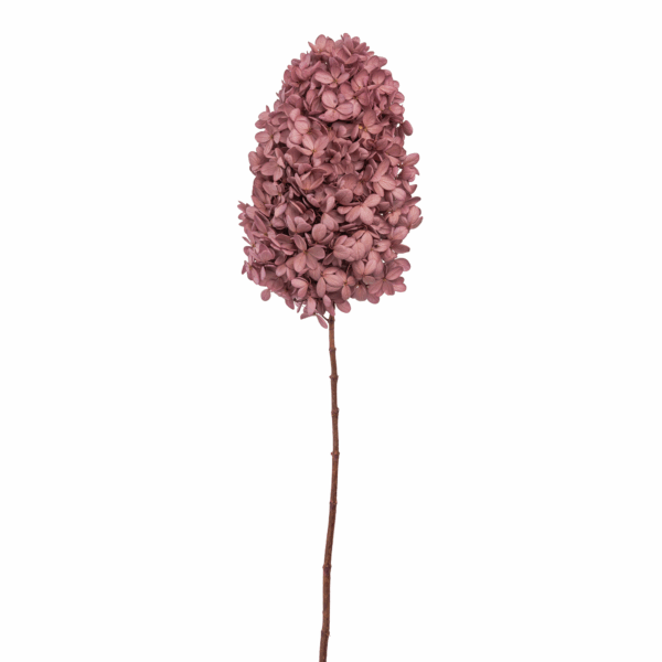 Wood Hydrangea (10 pcs pack)