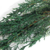 Sabina (10 bundles pack) - Image 2