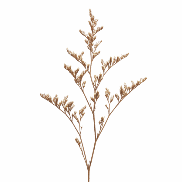Sea-lavender (10 bundles pack) - Image 5