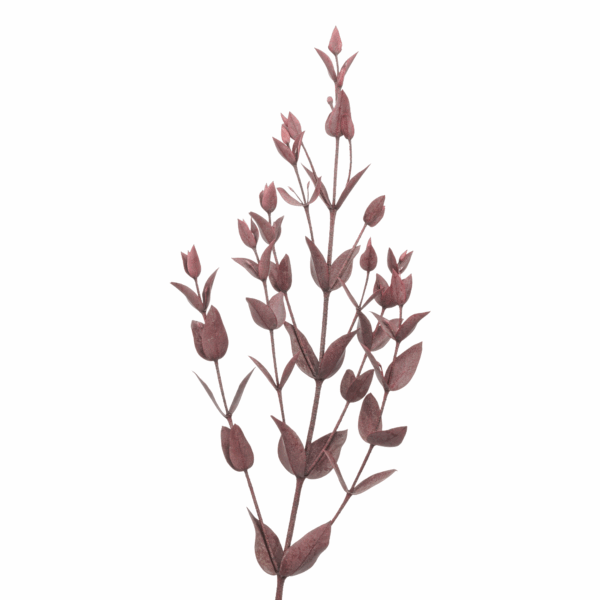 Small Leaves Eucalyptus (10 bundles pack) - Image 4