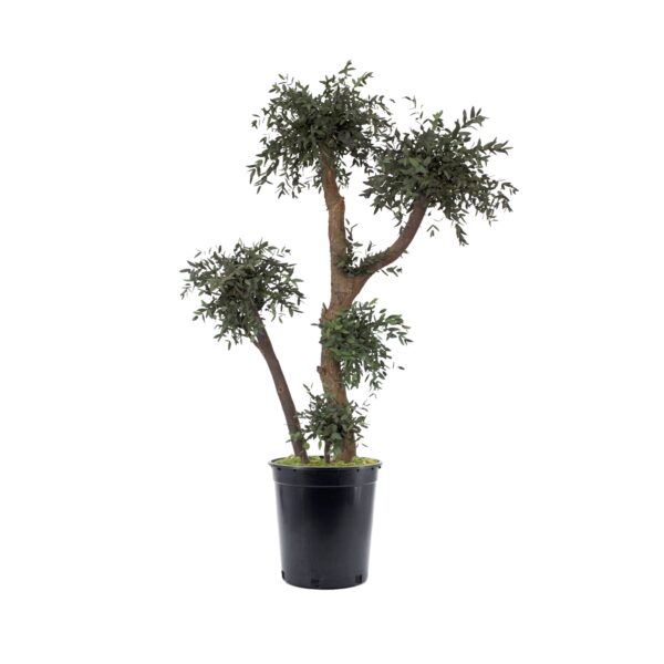 Small Leaves Eucalyptus Tree (1 pcs pack)