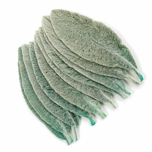 Lamb's-ear (10 bundles pack) - Image 3