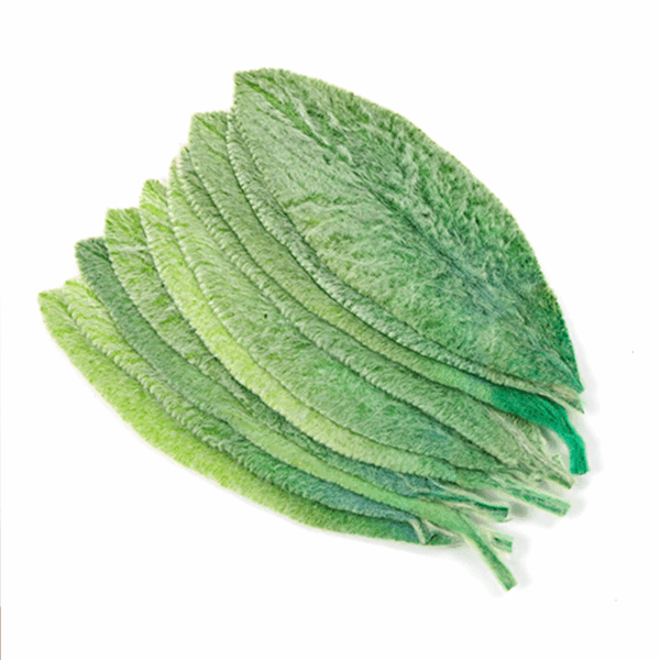 Lamb's-ear (10 bundles pack) - Image 2
