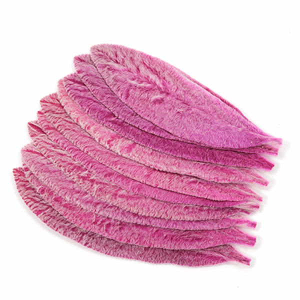 Lamb's-ear (10 bundles pack)