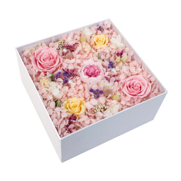 Mixed Flower Box (24 boxes pack) - Image 3