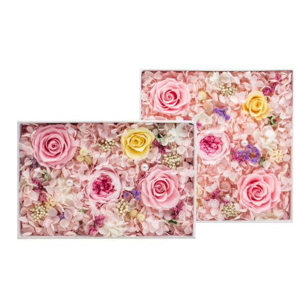 Mixed Flower Box (24 boxes pack)