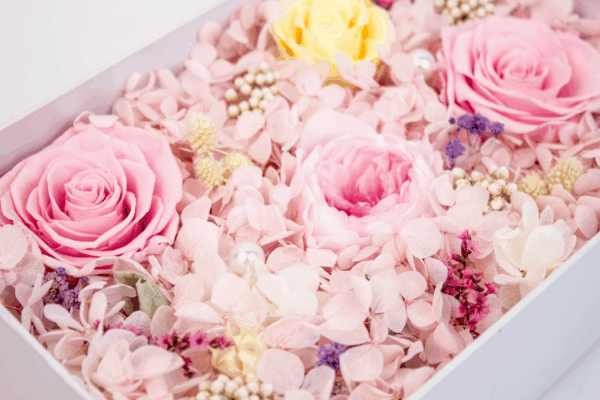 Mixed Flower Box (24 boxes pack) - Image 6