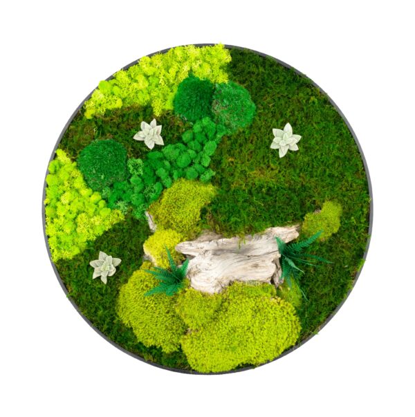 Moss Frame (3 pcs pack)