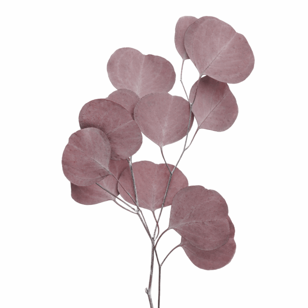Apple leaves (10 bundles pack)